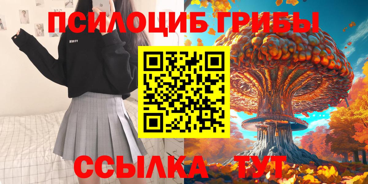 Псилоцибиновые грибы GOLDEN TEACHER Котельники
